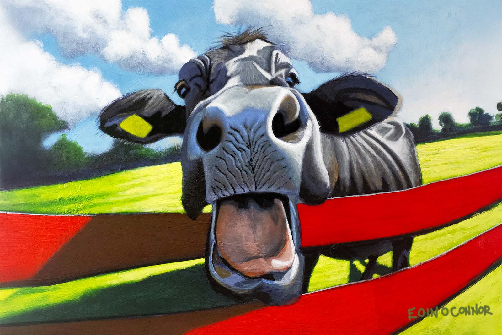 On the fence